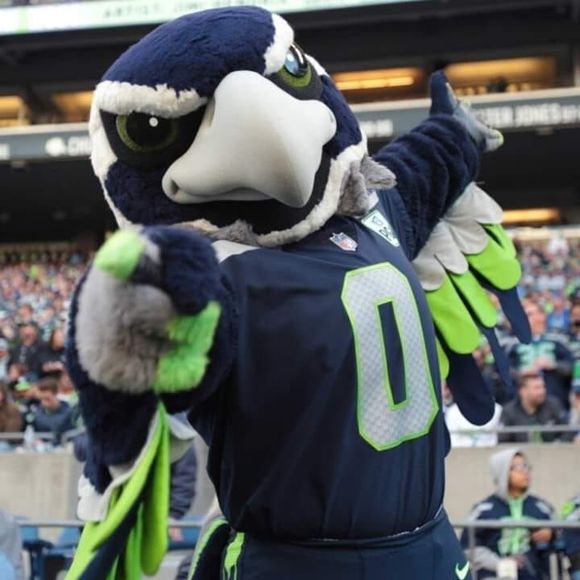 Meet your Posher, Steven - Picture 1 of 1